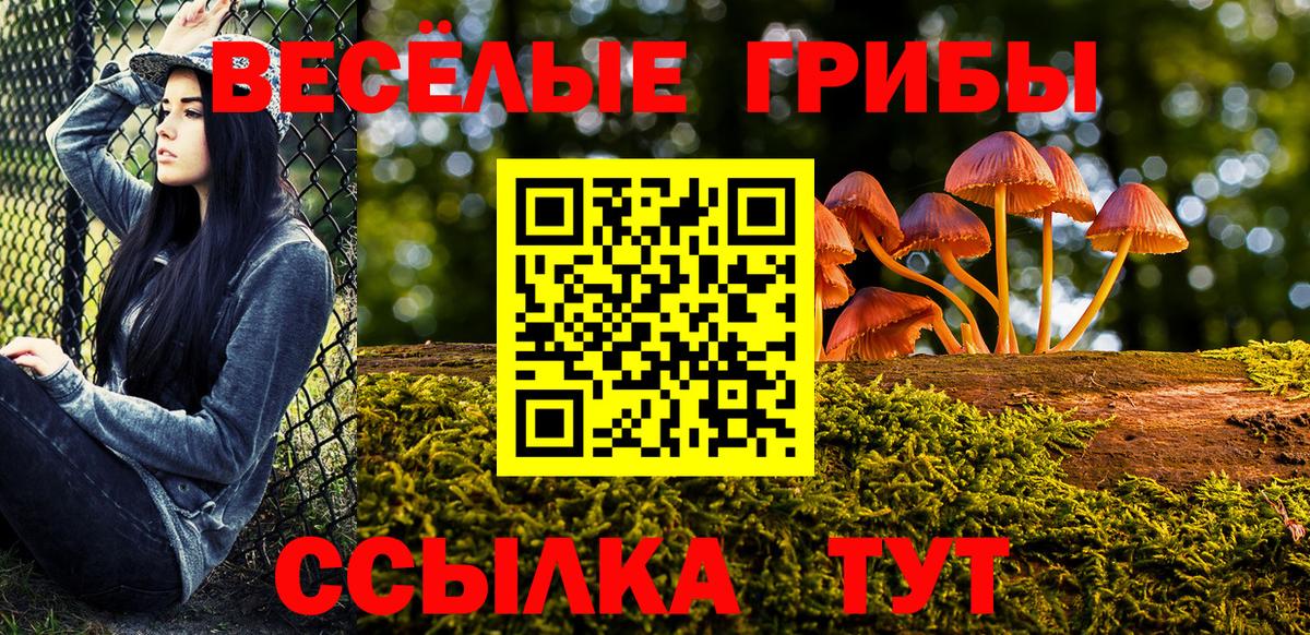 Канаш  Галлюциногенные грибы мухоморы  Вход с VPN 